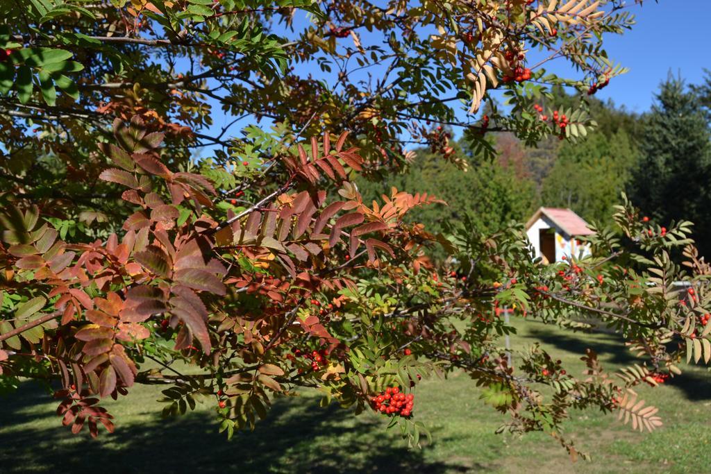 Hosteria Katy San Carlos de Bariloche Exterior foto